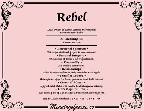 rebel meanimg